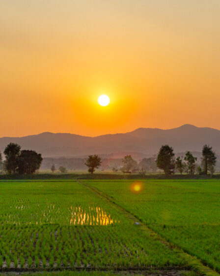 Quand visiter le cambodge