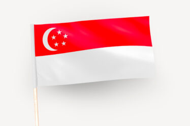 carte identité singapour