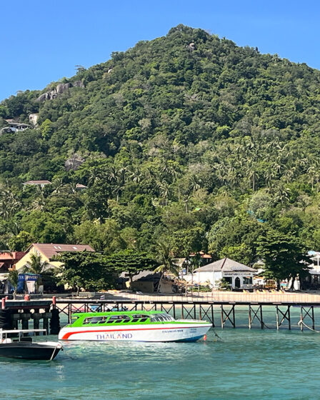 Koh tao